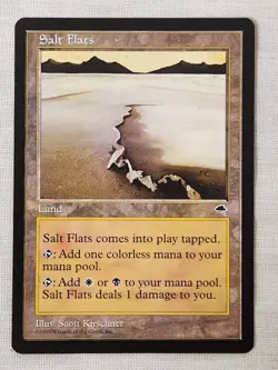 NM Salt Flats Tempest Mtg Magic the Gathering - Image 1