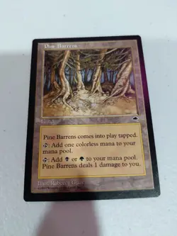 MTG Pine Barrens NM Near MINT Tempest [4586] - Image 1