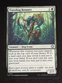 MTG Tarkir: Dragonstorm Traveling Botanist 0164 NM - Image 1