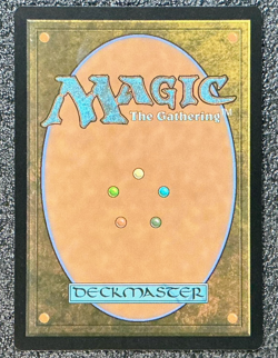 Michelangelo, the Heart (0092) (Borderless) (Surge Foil) - Commander: TMNT (TMC) - Image 2