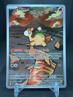 2026 | Pokemon Ascended Heroes | Numel Illustration Rare | 223/217 - Image 1