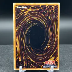 Witch of the Black Forest Vol 6 Japanese Yugioh Card #A - Image 2