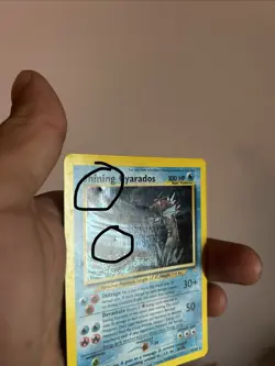 Shining Gyarados 65/64 Neo Revelation Holo Secret Rare Unlimited English - Image 3