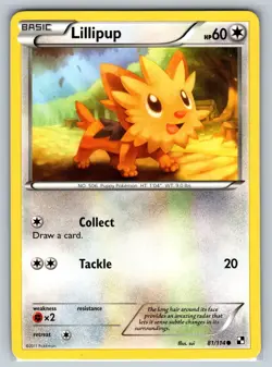 Lillipup 81/114 Common Black & White Pokemon Lightly Played - Image 1
