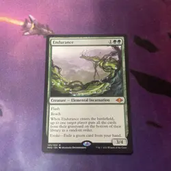 Endurance Modern Horizons 2 Regular - Image 1