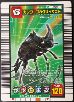 Cantori Pentagon Beetle Mushiking 050 Mushi Card Sega Japanese 01 - Image 1
