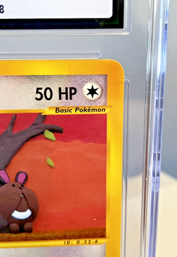 2003 Pokemon Aquapolis Sentret #107 CGC 10 GEM MINT e-Reader WOTC Low Pop - Image 5