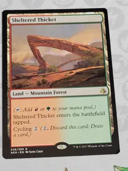 C2570 MAGIC MTG AMONKHET SHELTERED THICKET #248 NM RARE - Image 1