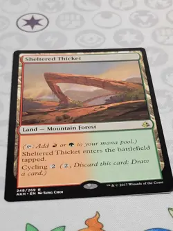 C2570 MAGIC MTG AMONKHET SHELTERED THICKET #248 NM RARE - Image 2