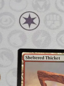 C2570 MAGIC MTG AMONKHET SHELTERED THICKET #248 NM RARE - Image 3
