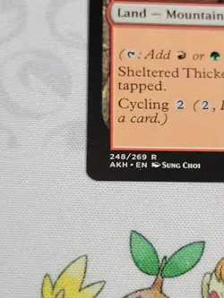 C2570 MAGIC MTG AMONKHET SHELTERED THICKET #248 NM RARE - Image 4