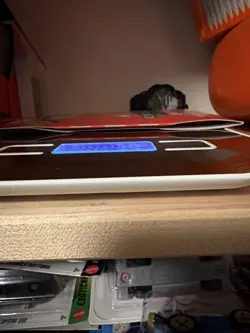 One Piece OP-13 CARRYING ON HIS WILL Sleeved Booster Pack - Heavy - 39g 🔥 🔥 - Image 3