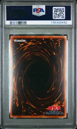 2013 YU-GI-OH! JPN V JUMP JULY PROMO #JP080 BLUE-EYES WHITE DRAGON PSA 10 - Image 2