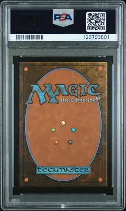 2024 MAGIC: THE GATHERING SECRET LAIR DROP FOIL #1904 MASKWOOD NEXUS PSA 8 - Image 2
