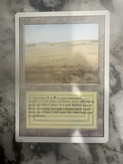 MTG Revised Edition Rare Savannah Land Regular English Rob Alexander - Image 3