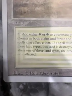 MTG Revised Edition Rare Savannah Land Regular English Rob Alexander - Image 4
