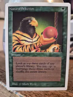 Wizards Natural Selection Instant Green Mark Poole Magic the Gathering - Image 1