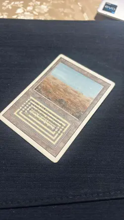 Scrubland Revised Edition Regular - Image 2