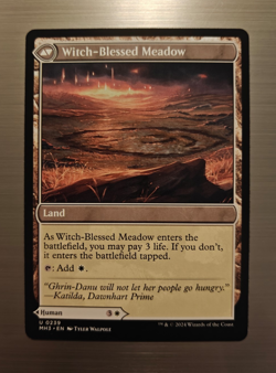 Witch Enchanter/Witch-Blessed Meadow - Modern Horizons 3 - MH3 - #239 - NM - Image 2