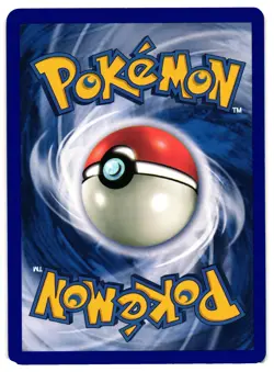 Pokemon TCG Dunsparce 60/100 Common Sandstorm NM - Image 2
