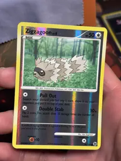 Zigzagoon 96/106 Great Encounters Reverse Holo Pokemon TCG 2008 - Image 4