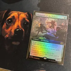 Mtg Champions of the Perfect FOIL EXT ART - Lorwyn Eclipsed + Bonus Foils - Image 1