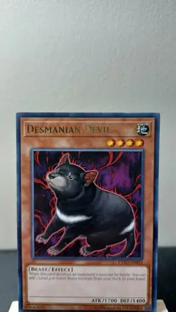 5 Pokemon/Yugioh Cards - Image 1