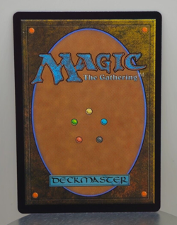 Adarkar Wastes - DMU - 243/281 - Dominaria United - Image 2