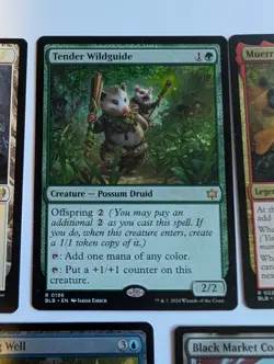 Black Market Connections, Hengegate Pathway, Tender Wildguide ($20.32value)#2. - Image 3