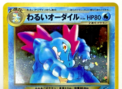 Dark Feraligatr Dark Houndoom No.160 229 Neo Destiny 2Set Japanese Pokemon Card - Image 3