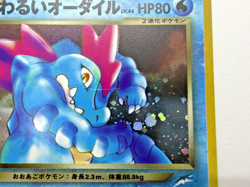 Dark Feraligatr Dark Houndoom No.160 229 Neo Destiny 2Set Japanese Pokemon Card - Image 5