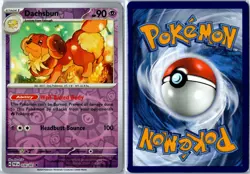 Dachsbun 039/091 Paldean Fates Uncommon Reverse Holo Near Mint - Pokemon Card - Image 3