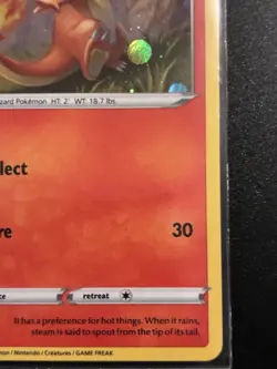 Charmander SWSH092 Holo Promo - SWSH: Black Star Promos - Pokemon TCG - NM - Image 5