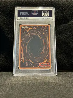 PSA 8 Blue Eyes White Dragon - SDK-001 - Unlimited - Yu-Gi-Oh! - Image 2