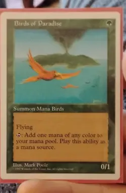 Birds of Paradise MTG Core Set 5th Edition Regular - Image 1