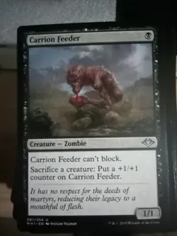 1x MTG Carrion Feeder - Modern Horizons (MH1) #81 - Magic the Gathering Unplayed - Image 1