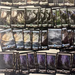 Magic the Gathering MTG Battle For Zendikar 115 Card Lot LP Full Art Basic Land - Image 5