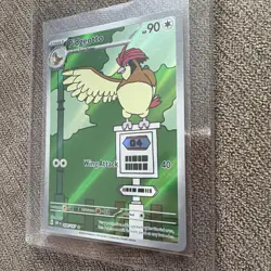 Pokemon TCG Pidgeotto 208/197 Obsidian Flames Illustration Rare Holo Eng 2023 - Image 3