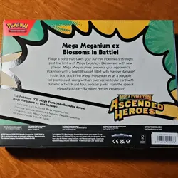 Pokemon TCG Mega Evolution Ascended Heroes ex Box Bundle - Image 3