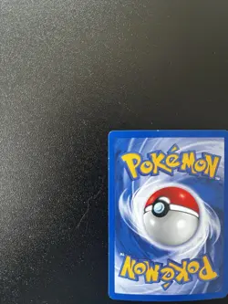 Heracross Neo Genesis Holo Rare 6/111 60 HP English Unlimited Ken Sugimori [NM] - Image 3
