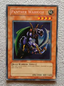 Panther Warrior CT2-EN006 2005 Collectors Tin Limited Edition - Image 1