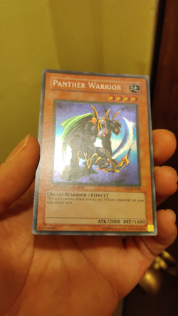 Panther Warrior CT2-EN006 2005 Collectors Tin Limited Edition - Image 2