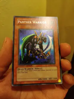 Panther Warrior CT2-EN006 2005 Collectors Tin Limited Edition - Image 3