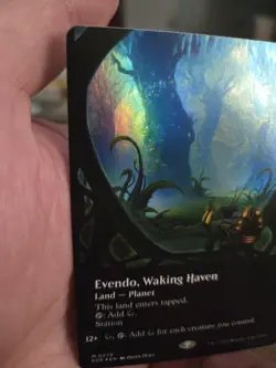 MTG - Evendo Waking Haven- Borderless Foil Mythic #279 NM/Mint (Pack Fresh) - Image 5