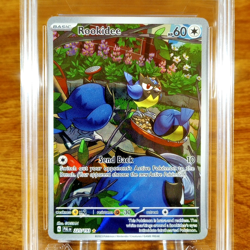 Pokemon Paldea Evolved Rookidee 225/193 AGS Mint+ 9.5 FA Holo Secret Rare 2023 - Image 2