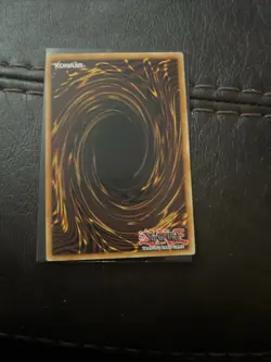 In Hand YUGIOH x1 DOOD-EN023 DRACOTAIL PHRYXUL - SECRET RARE 1st EDITION - Image 2