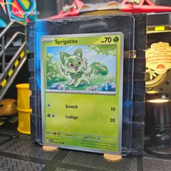 Sprigatito Scarlet & Violet Pokemon TCG 013/198 SV01 Common - Image 2