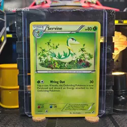 Servine Black & White Pokemon TCG 4/114 Uncommon - Image 1