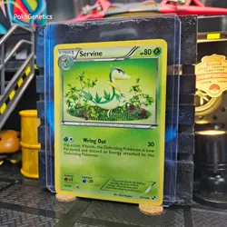 Servine Black & White Pokemon TCG 4/114 Uncommon - Image 2