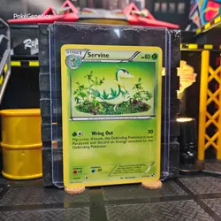 Servine Black & White Pokemon TCG 4/114 Uncommon - Image 3